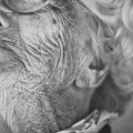 Does elder abuse most commonly occur at home?